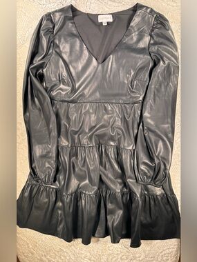 Lucy Paris Black Dress with Subtle Sheen